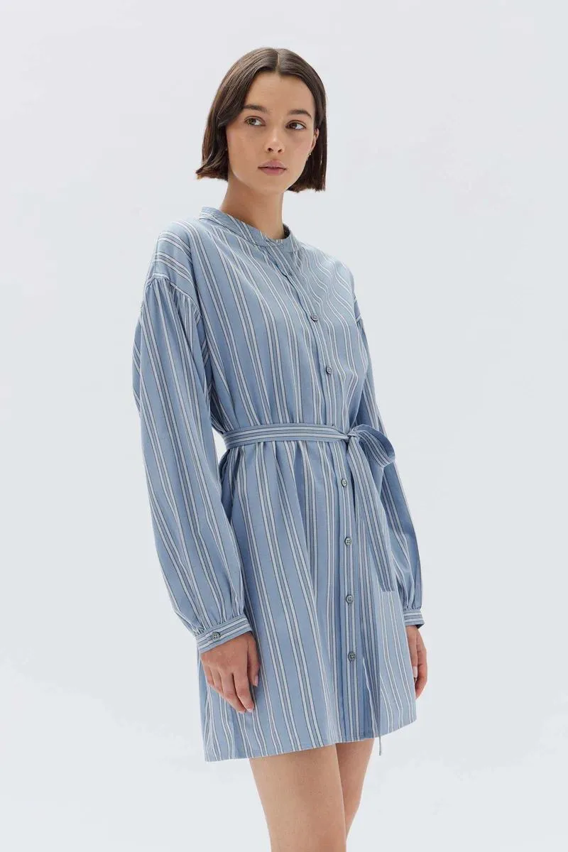 Assembly Label Luna Stripe Mini Dress - Glacial Stripe