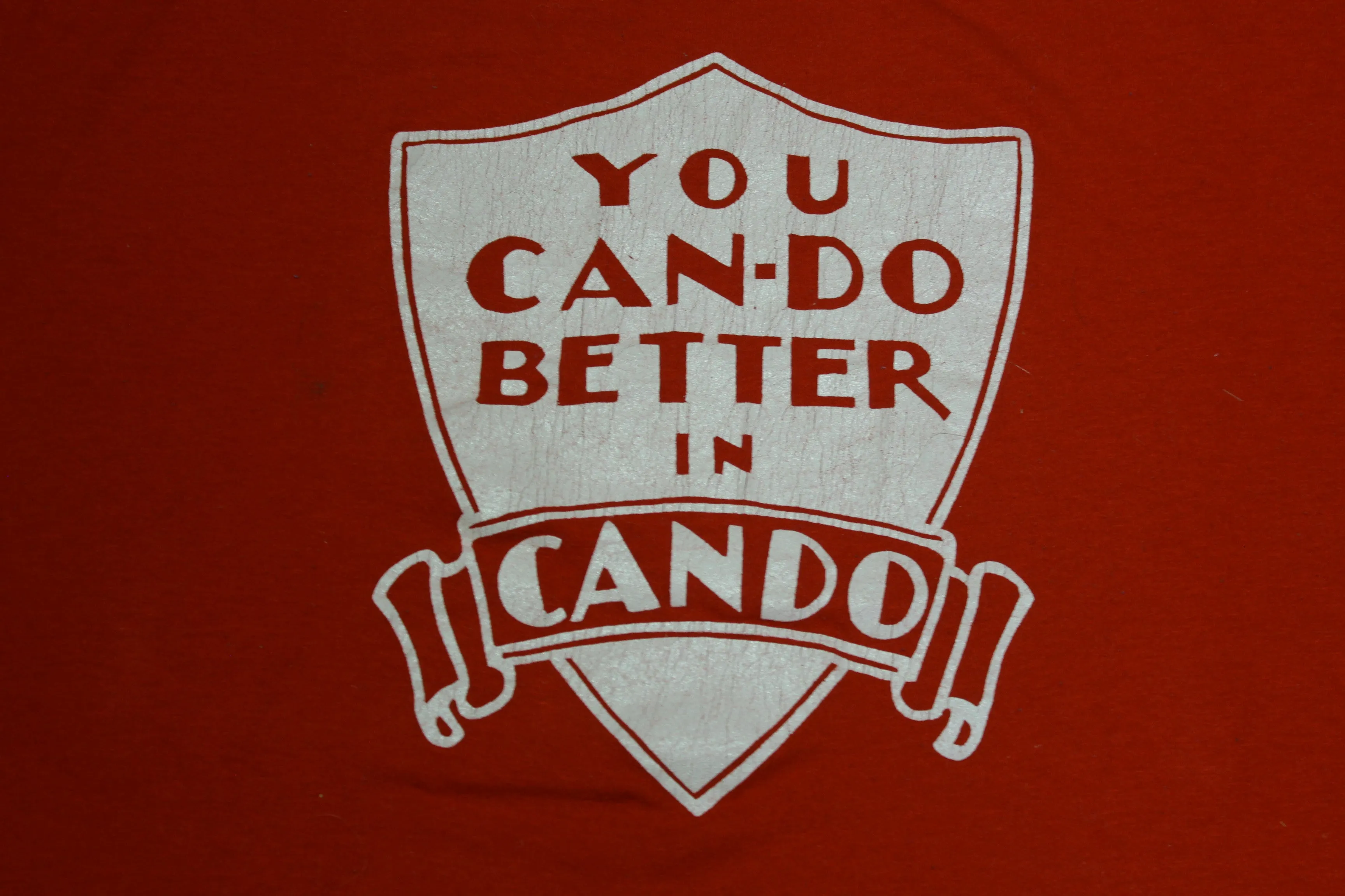 You Can Do Better In Cando North Dakota Vintage 80's Sportswear FSSC USA Made T-Shirt